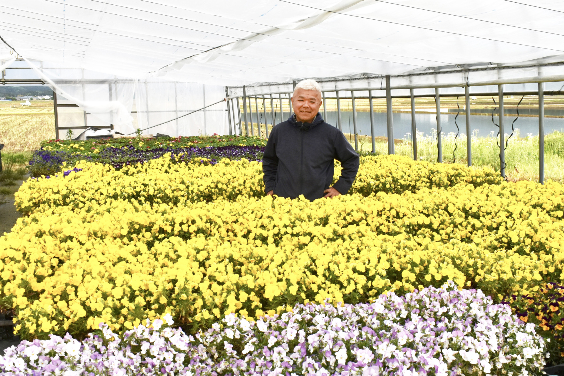 特別な時間を演出する　色とりどりの食べられる花　エディブルフラワーを求めて。