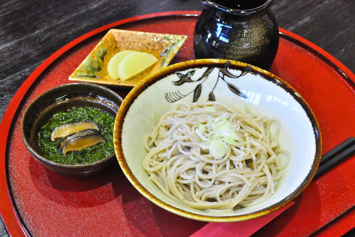 【椿屋陶芸館 椿茶屋】椿オイルを使った蕎麦が斬新！陶芸と蕎麦で佐渡の恵みを堪能