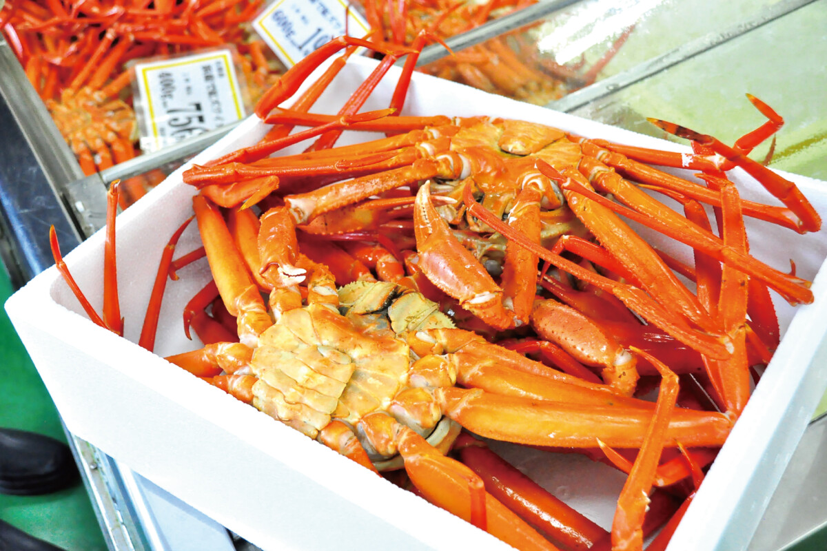 【カニ直売所 弥吉丸】鮮度抜群の紅ズワイガニが破格！一度は訪れたい、赤泊のカニ直売所